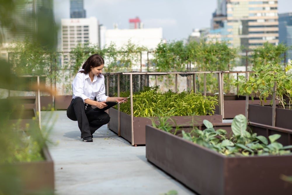 community garden