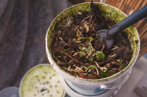 composting in balcony