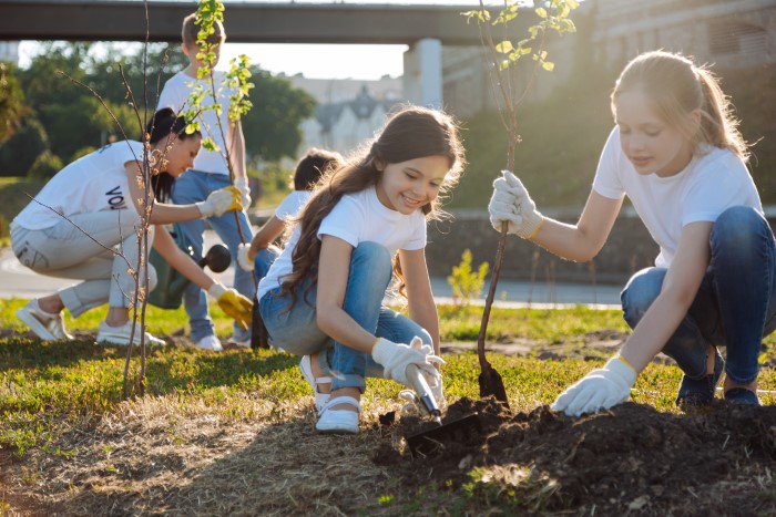 planting trees in the community garden