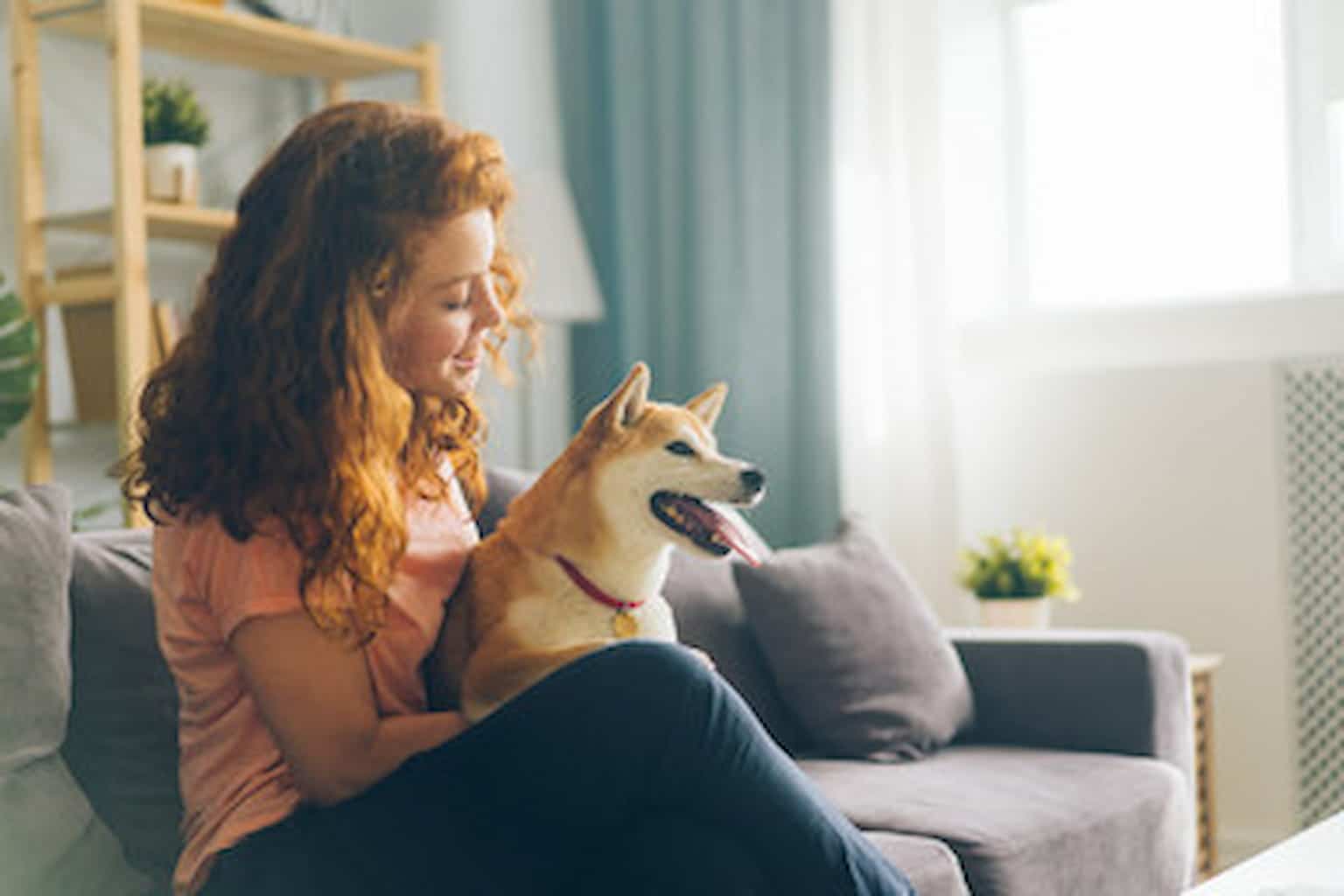 Good Pet Neighbour | More Than Strata
