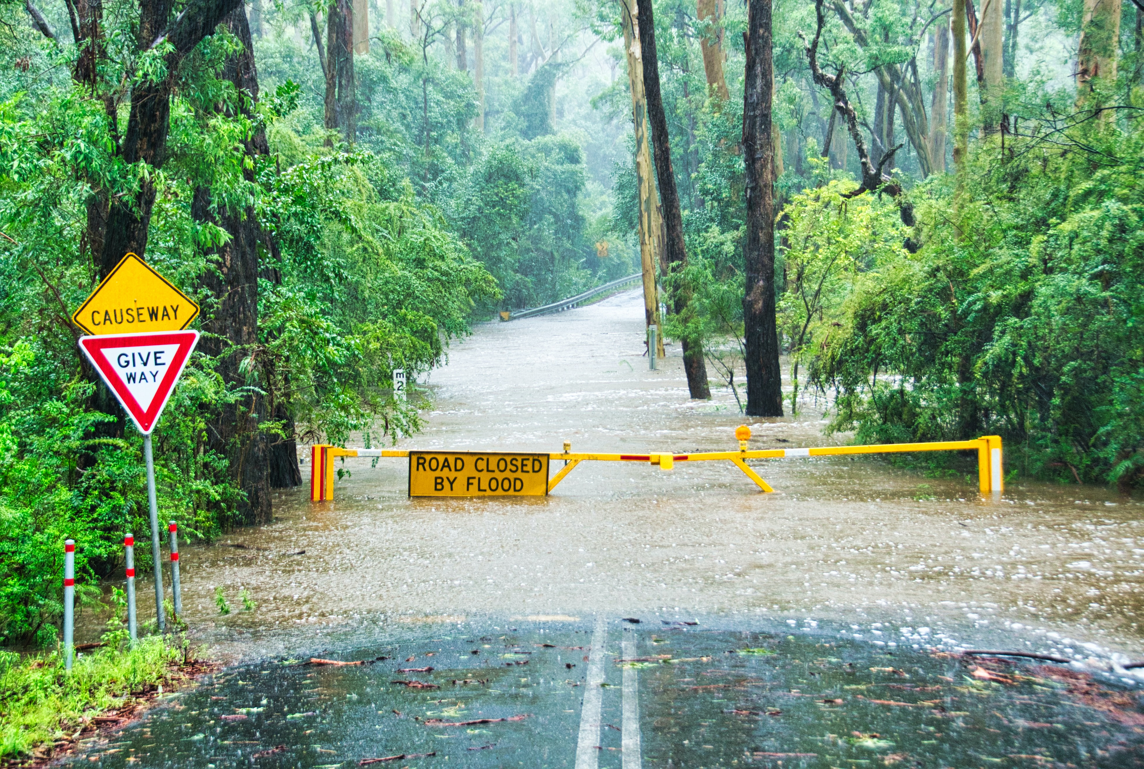 State of the Strata Insurance Market: Insights August 2023